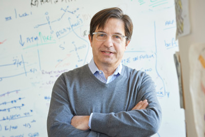 John Petrini, PhD