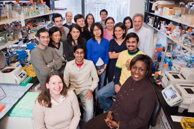The Benezra Lab