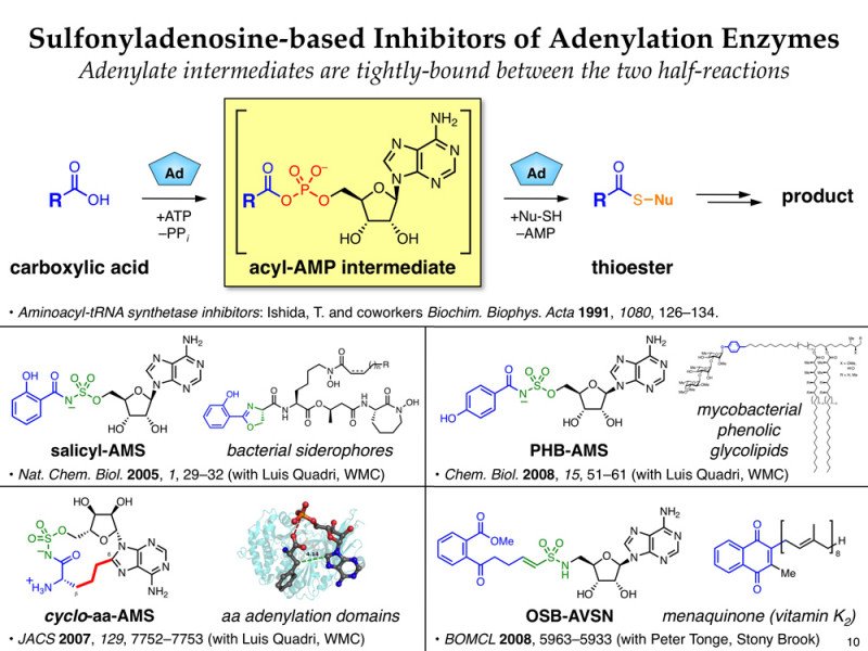 Rational Drug Design