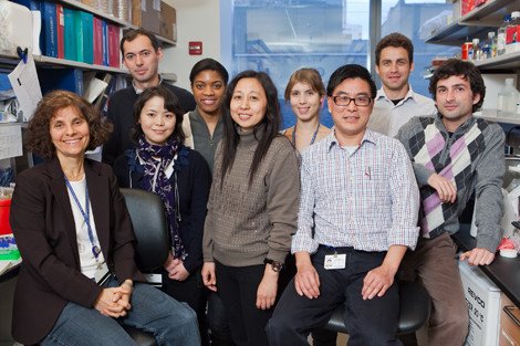 The Bromberg Lab