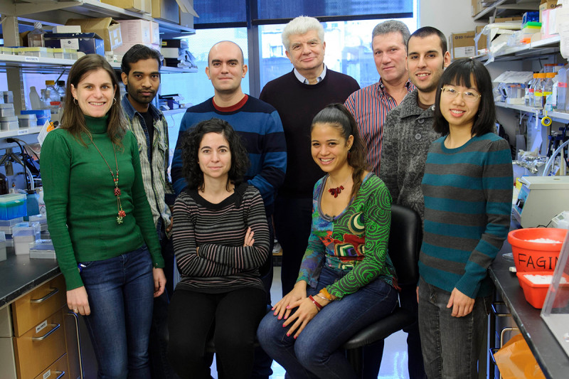 The Fagin Lab