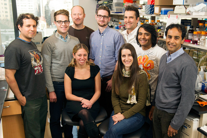 The Mellinghoff Lab
