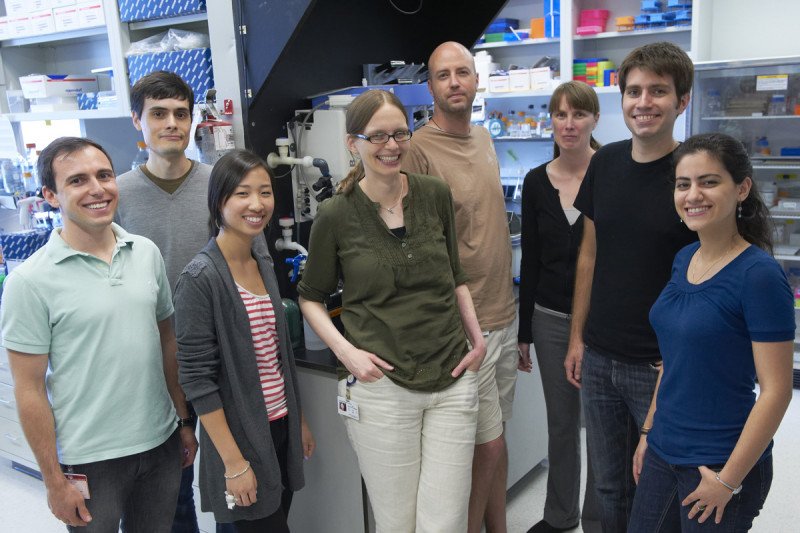 Pictured: Julia Kaltschmidt Lab group photo