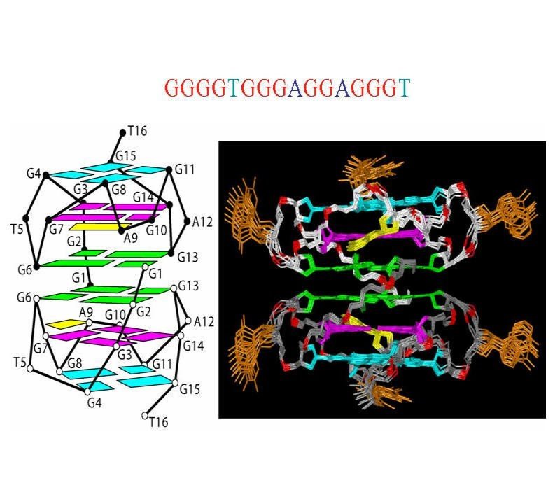 G-Quadruplex Inhibitors of HIV-1 Integrase