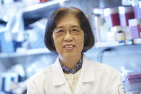 Pictured: Ming-Ming Xu