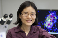 Pictured: Danwei Huangfu