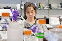 Pictured: Sung Kim