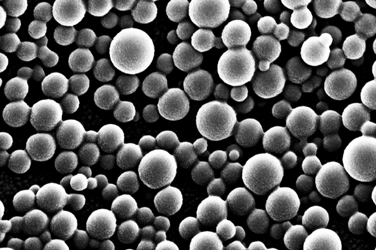 Mesoscale nanoparticles imaged by scanning electron microscopy.