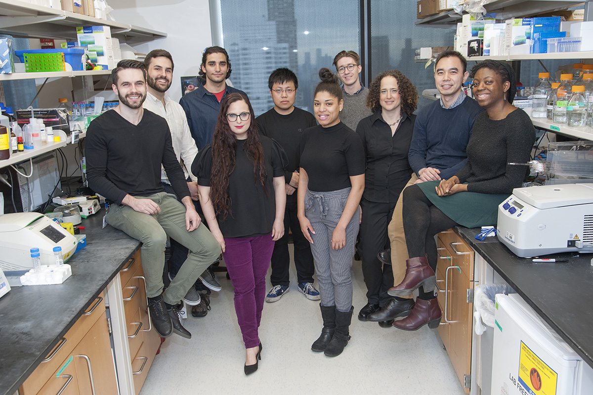 The Yael David Lab