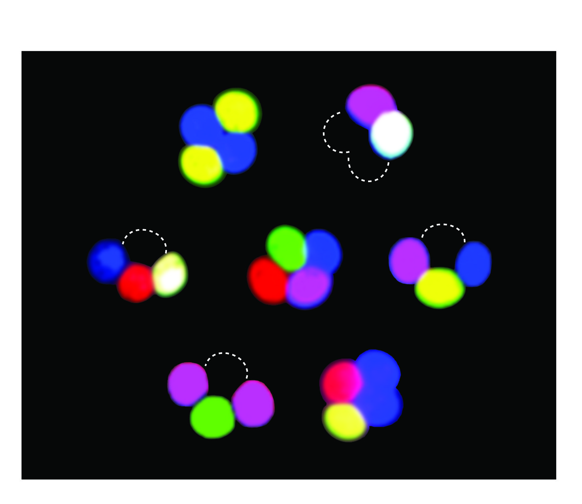 Fluorescent spores