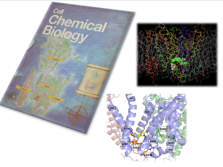 Cell Chemical Biology