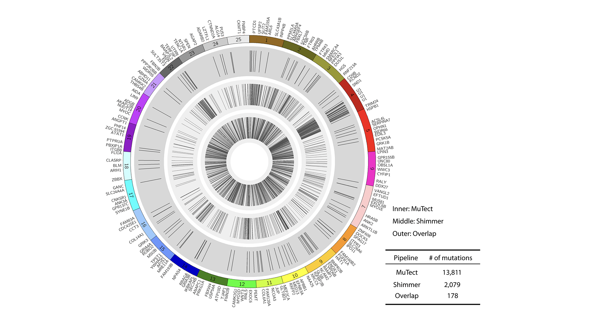 genomic analysis of zebrafish tumors