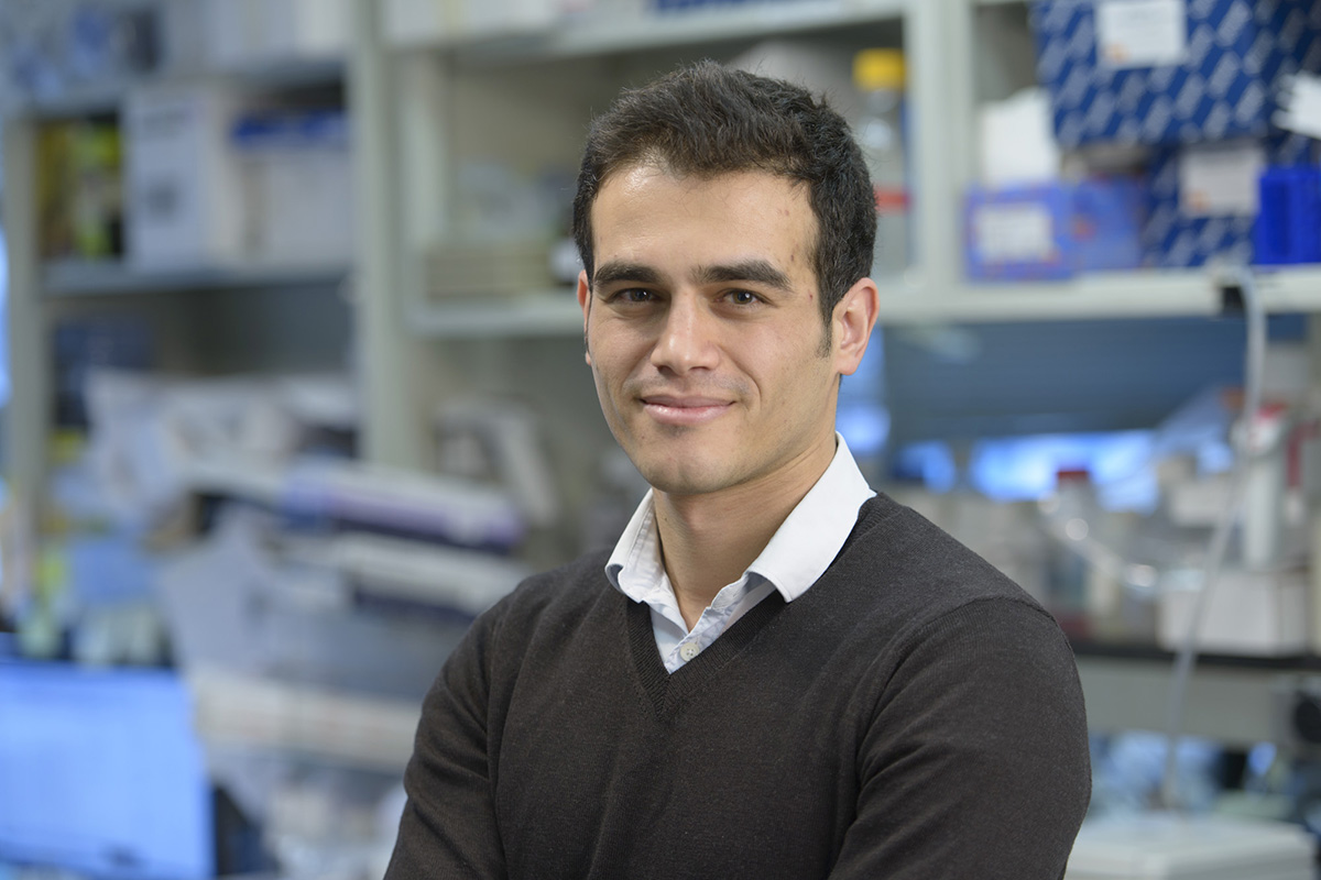 MSK researcher Mohamad Hamieh