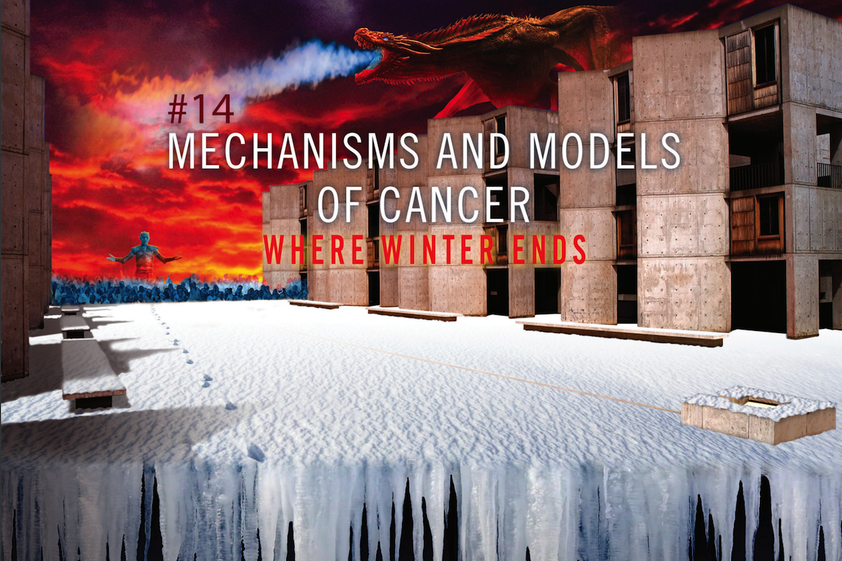 Salk Mechanisms and Models of Cancer