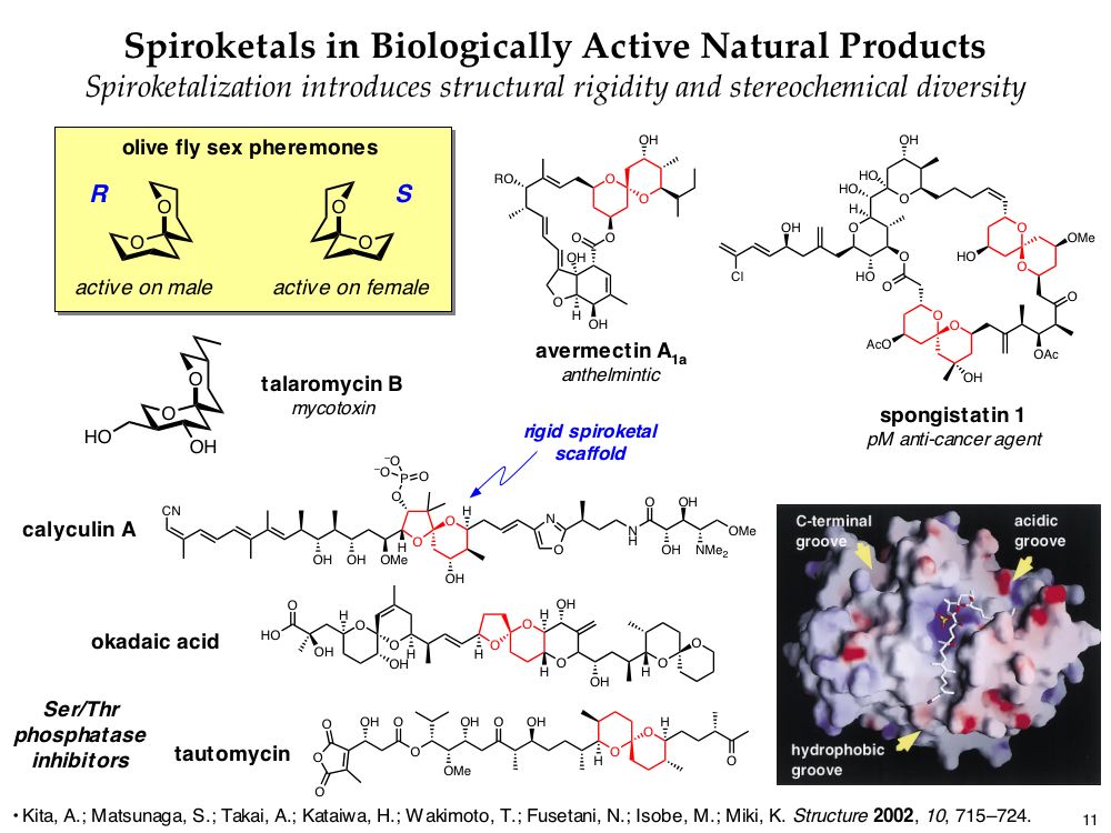 diversity oriented synthesis, rational drug design, and chemical biology research