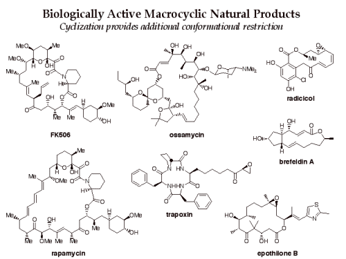 Macrocycles