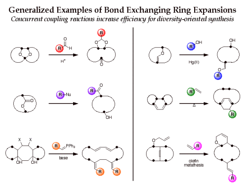 Bond exchanging ring expansion