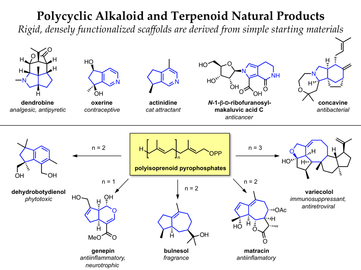 alkaloid and terpenoid biosynthesis for diversity-oriented synthesis and chemical biology