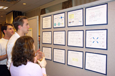 Justin Potuzak poster, diversity oriented synthesis, rational drug design, and chemical biology research