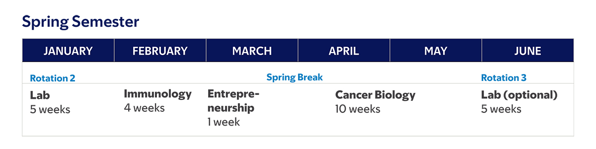 The Cook PhD in Cancer Engineering First Year 