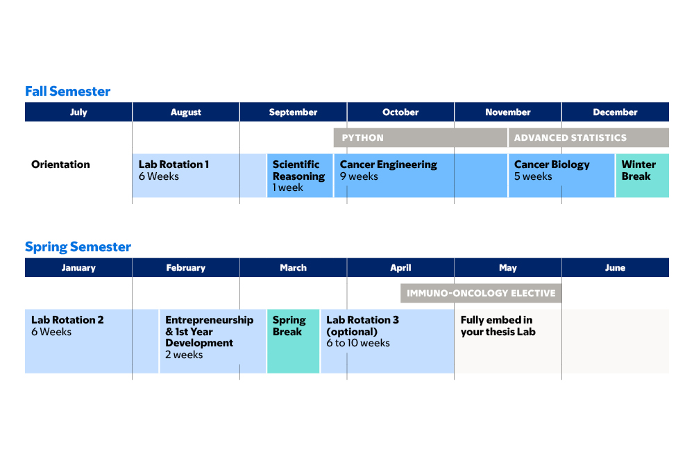 Fall and spring semester courses in the first year of MSK’s cancer engineering PhD program