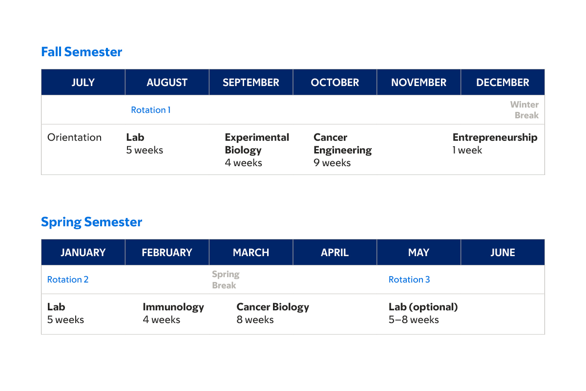 Fall and spring semester courses in the first year of MSK’s cancer engineering PhD program