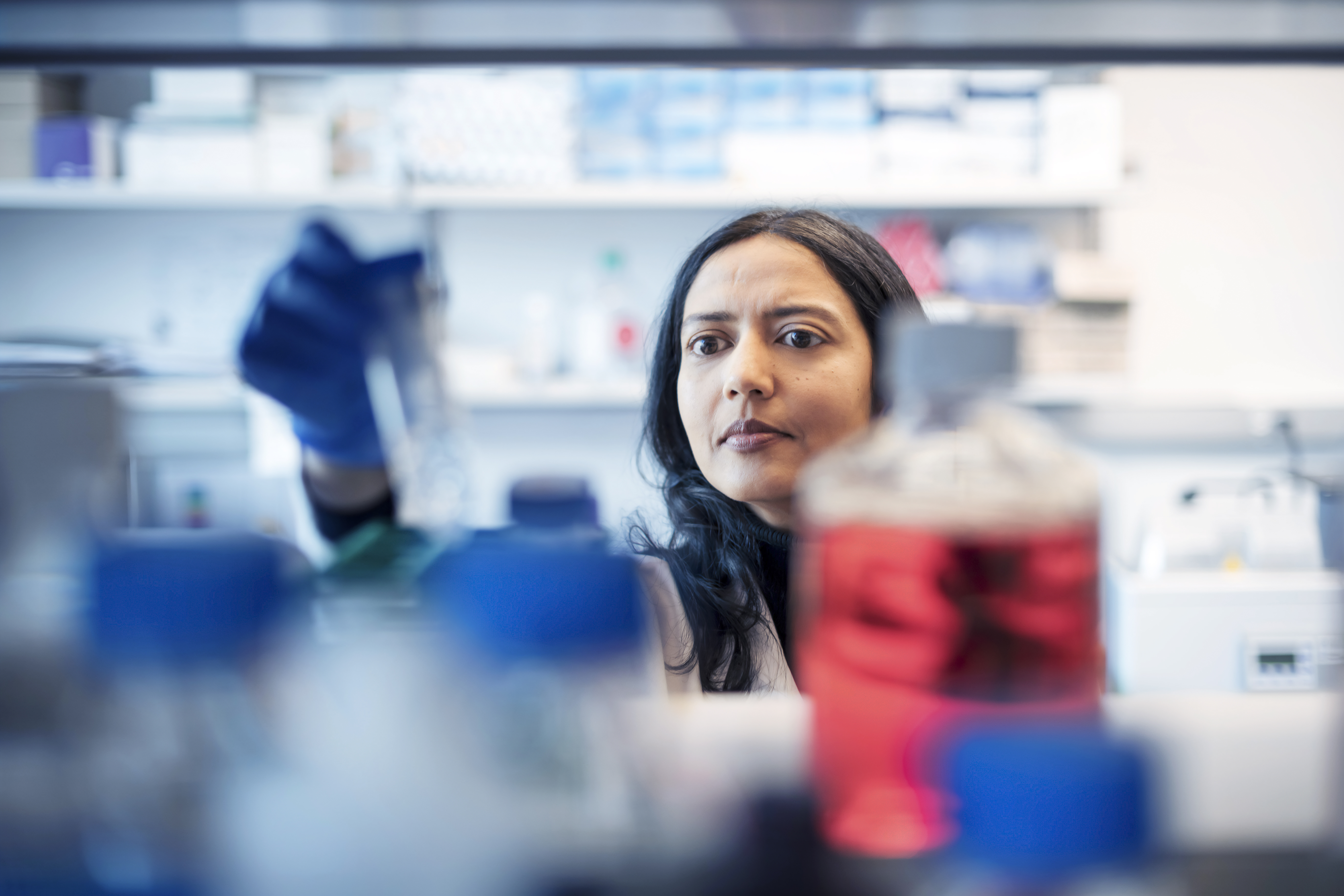 Dr. Karuna Ganesh engineers organoid models to study metastasis.
