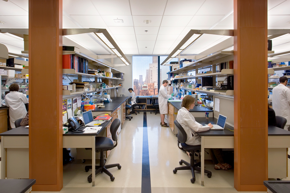 A Laboratory in the Zuckerman Research Center