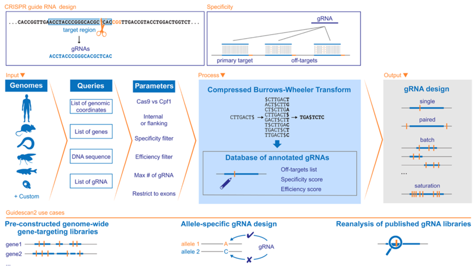 Figure | Overview of GuideScan2
