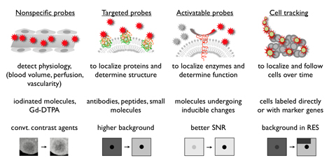 Probe concepts in Molecular Imaging