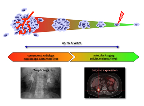 Molecular Imaging