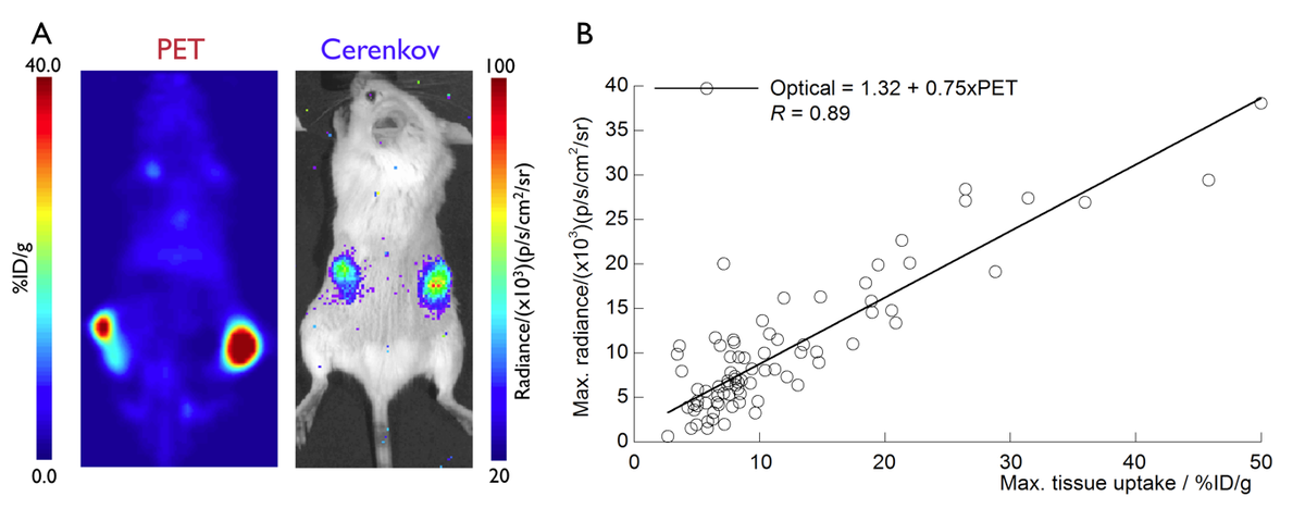 Cerenkov Imaging of PSMA-positive sc. tumors with 89Zr-J591