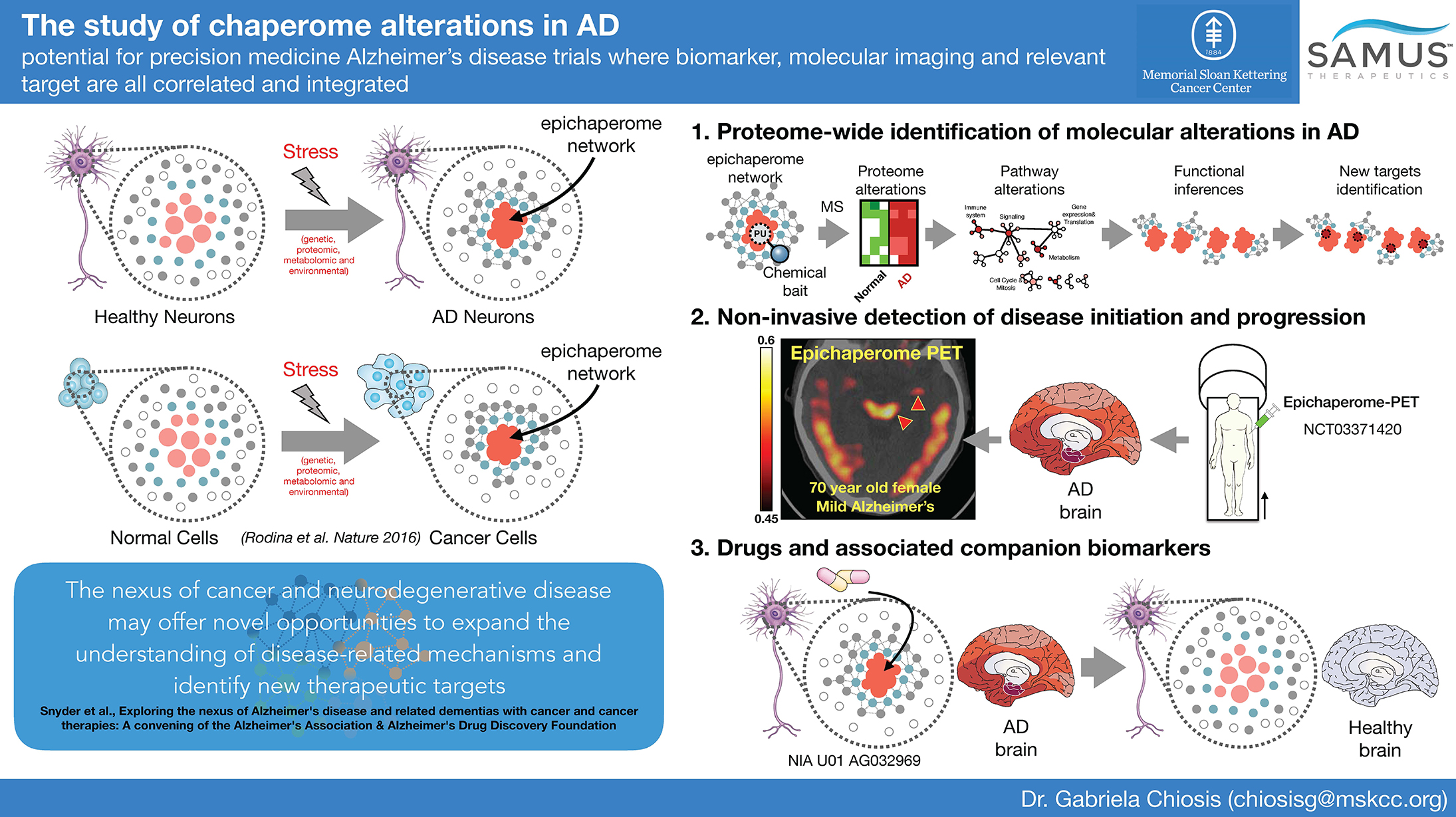 Alzheimer's summit