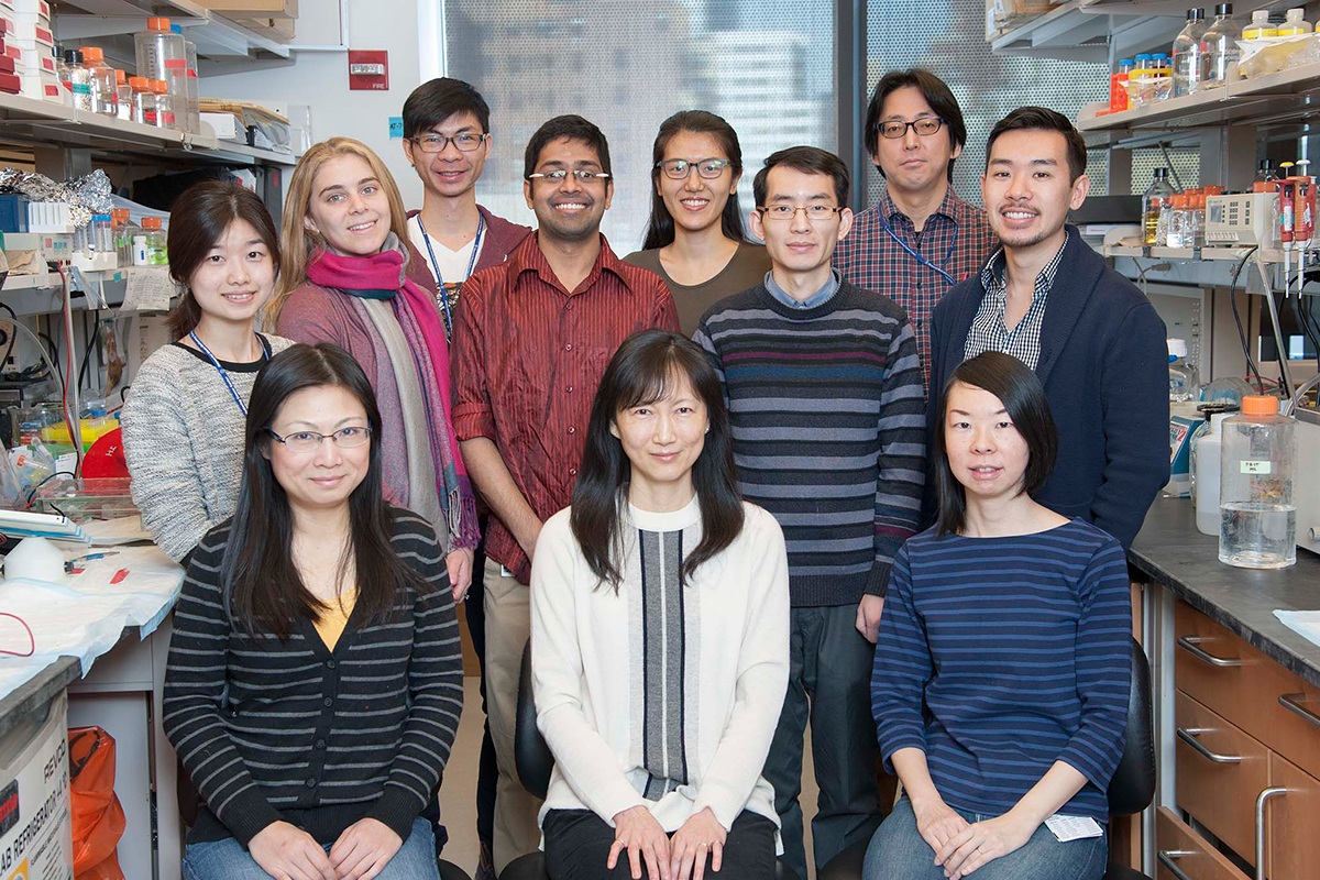The Cheng Lab