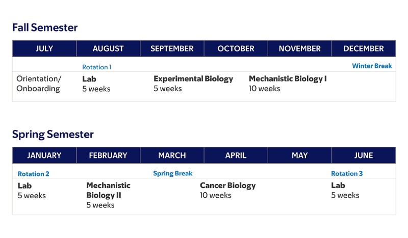 First year Fall and spring semester courses in MSK’s cancer biology PhD program