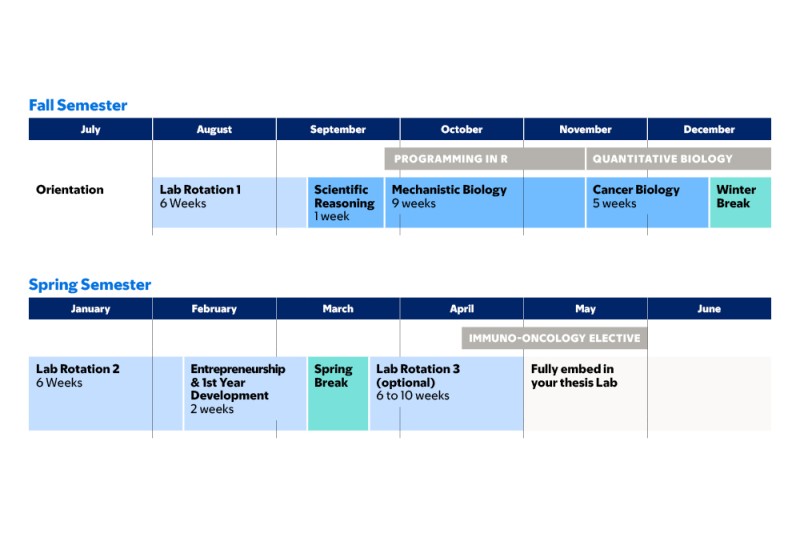 First year Fall and Spring semester courses in MSK’s cancer biology PhD program
