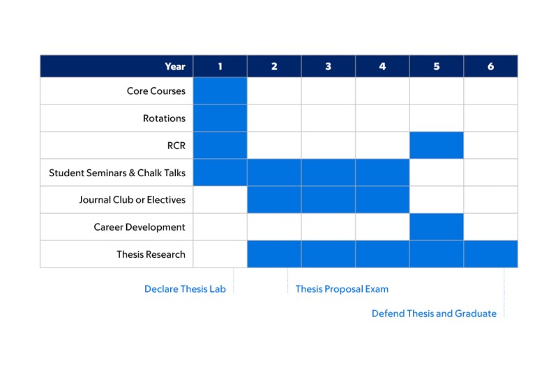 Cancer Biology Curriculum 
