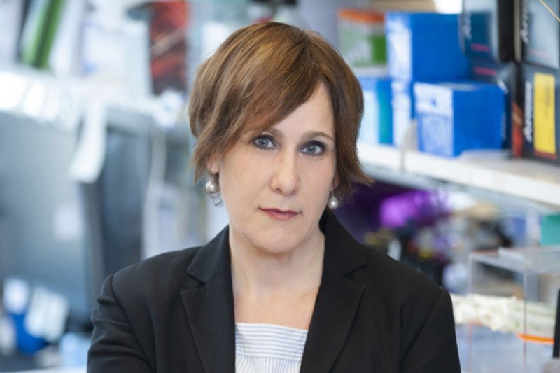 Andrea Schietinger, PhD