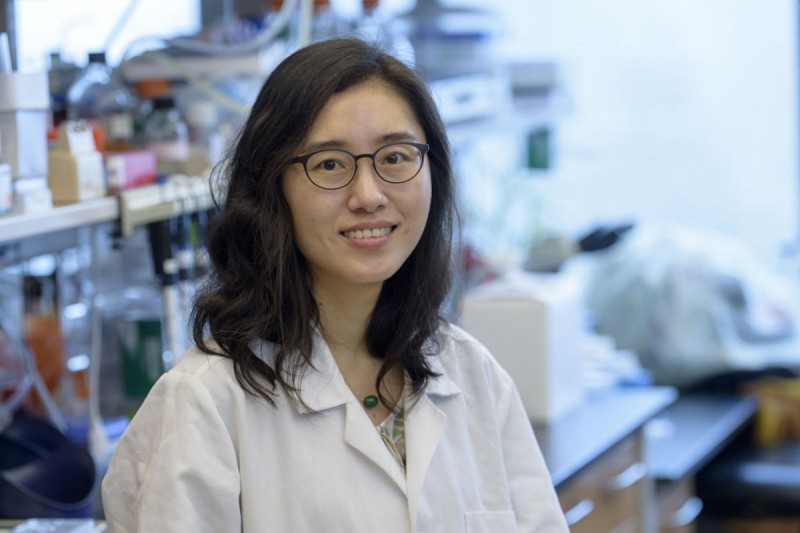 Hyejin Choi, PhD