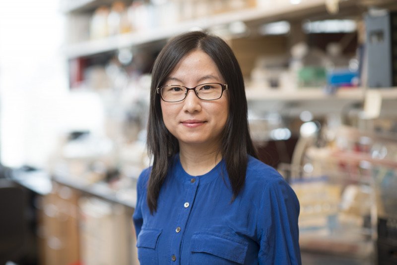 Jing Hu, PhD