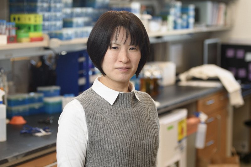 Sumiko Takao, MD, PhD