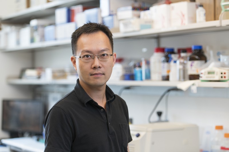 Nick P.M. Chen, PhD