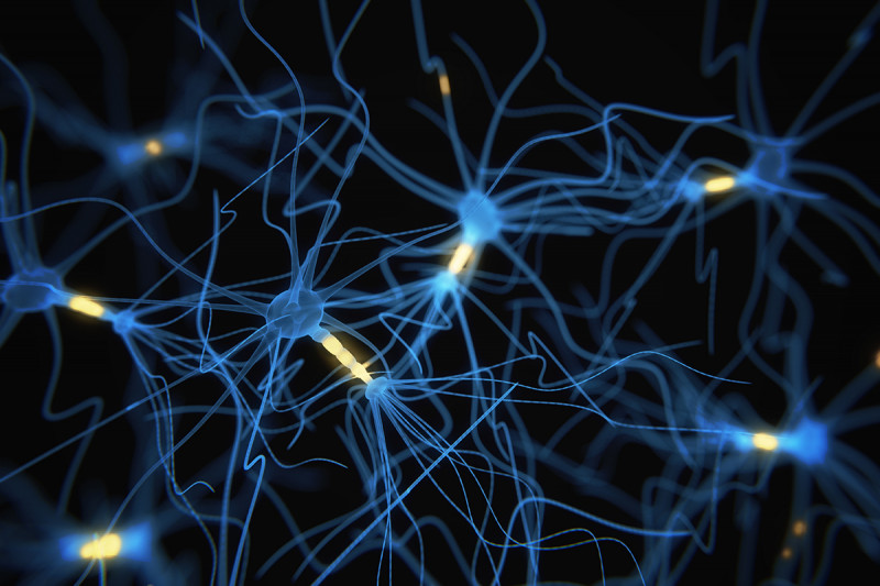 A network of neurons