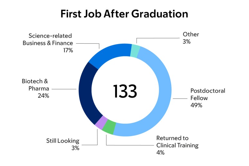 First Job after Graduation