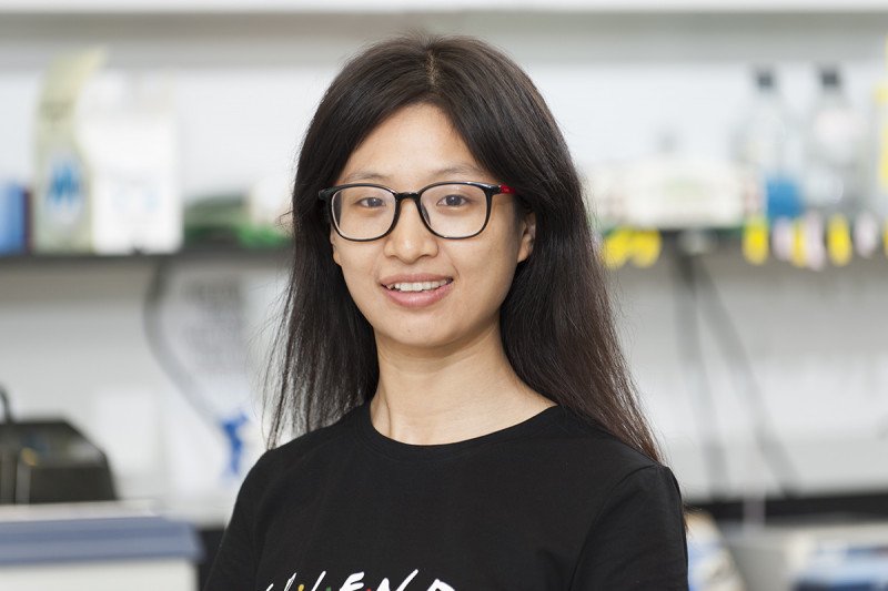 Junmei Yi, PhD