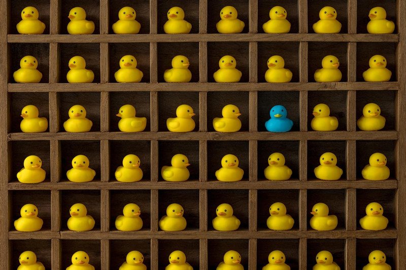 a cabinet full of yellow rubber duckies and one blue one