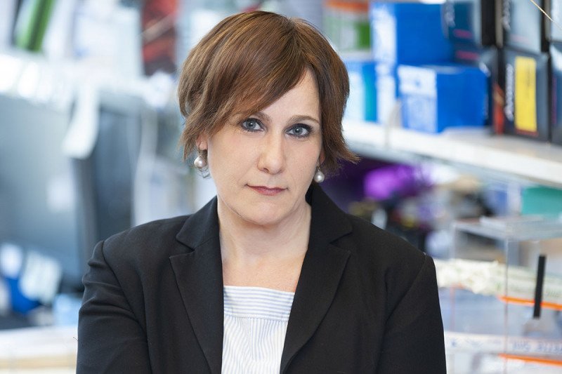 SKI immunologist Andrea Schietinger