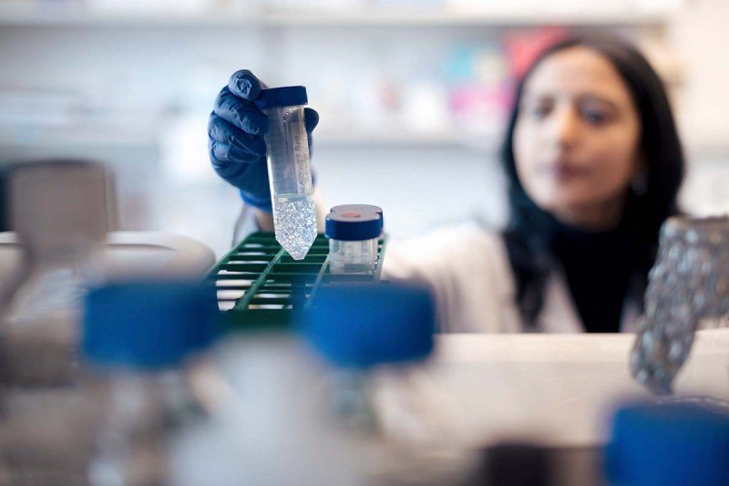 A scientist holding a tube in a lab