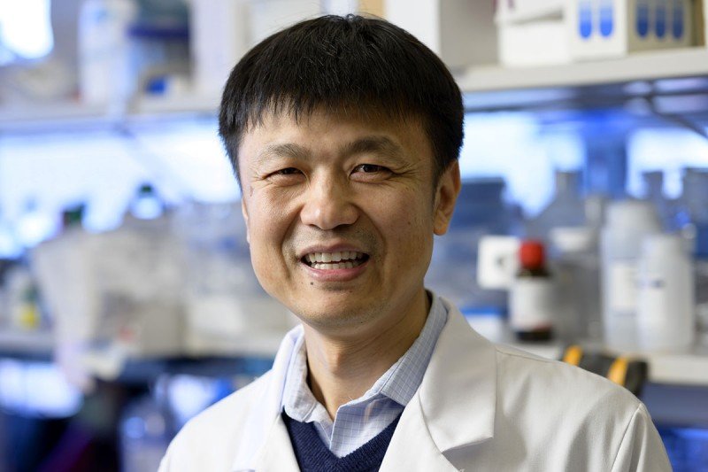 SKI immunologist Ming Li