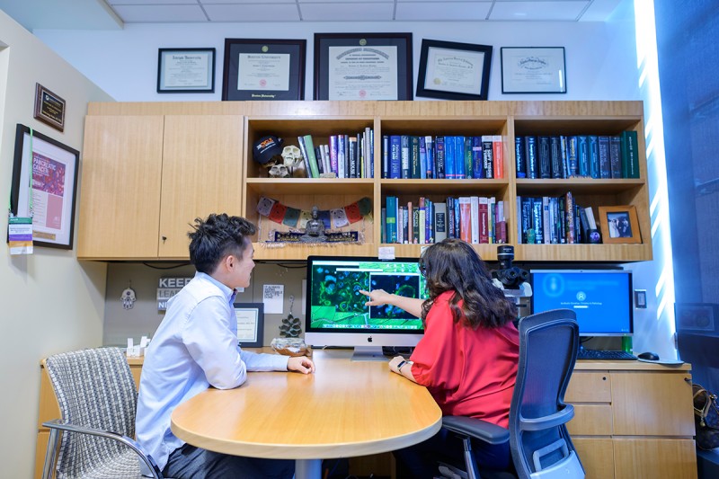 A GSK student and faculty member discuss a research image displayed on a screen